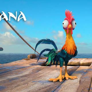 HD 4k Moana wallpaper