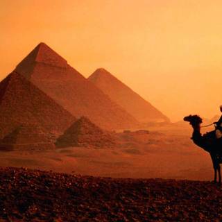 Arabian 4k wallpaper