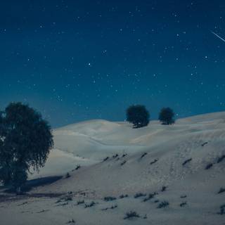 Arabian 4k wallpaper