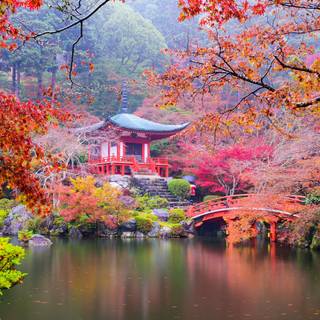 4k pink Japan wallpaper