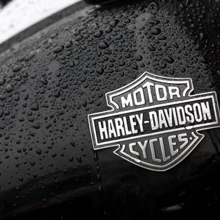 Harley Davidson 4k PC wallpaper