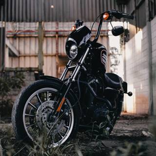 iPhone Harley Davidson wallpaper