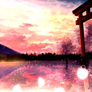 Cherry Blossom 4k anime wallpaper