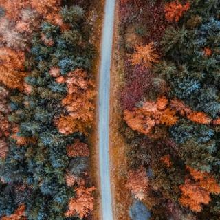 iPhone 16 HD wallpaper