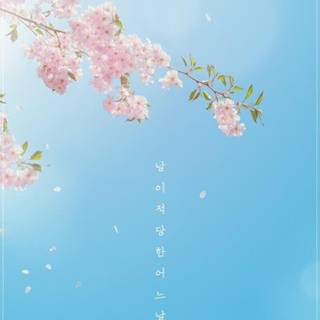 Kdrama iPhone wallpaper