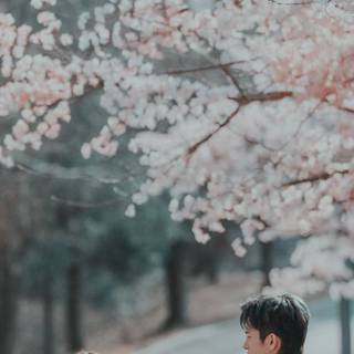 Kdrama iPhone wallpaper