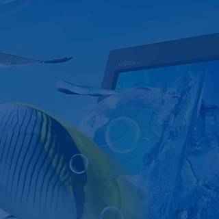 Frutiger Aero iPhone wallpaper