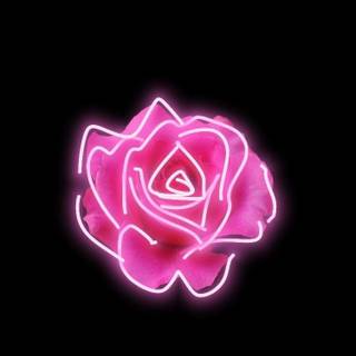 Neon pink iPhone wallpaper