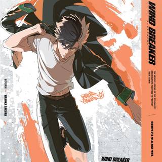 Wind Breaker phone wallpaper