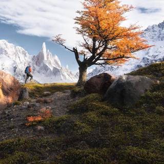 National Geographic iPhone wallpaper