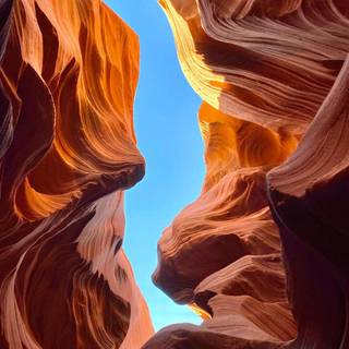 National Geographic iPhone wallpaper