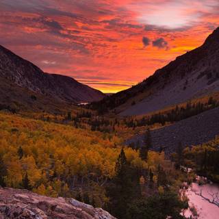 National Geographic iPhone wallpaper