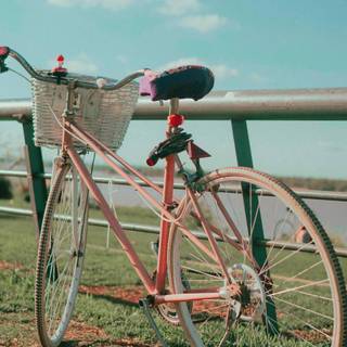 Cycling iPhone wallpaper