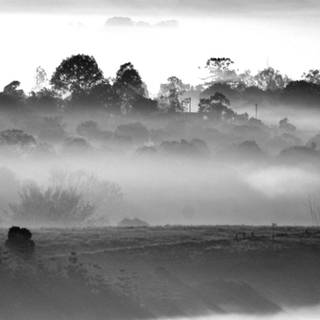 National Geographic iPhone wallpaper