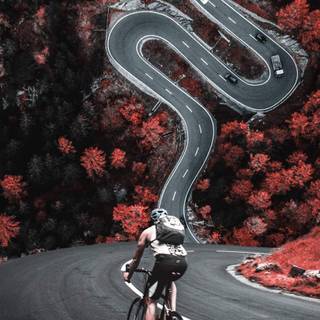 Cycling iPhone wallpaper