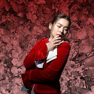 Mitski desktop wallpaper