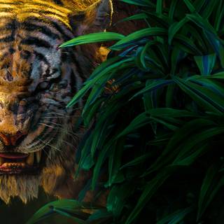 Desktop 5k wallpaper