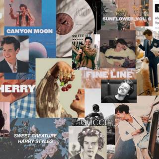 Harry Styles collage desktop wallpaper