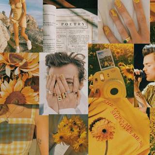Harry Styles collage desktop wallpaper