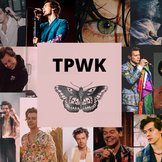 Harry Styles collage desktop wallpaper
