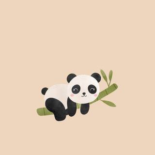 Cute panda desktop wallpaper