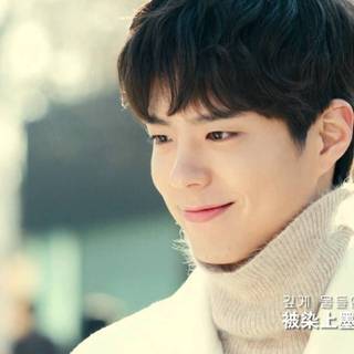Park Bo-gum desktop wallpaper