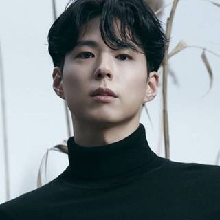Park Bo-gum desktop wallpaper