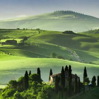 Hill mobile wallpaper