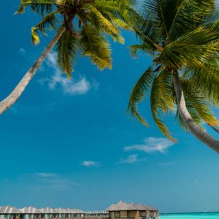 Maldives mobile wallpaper