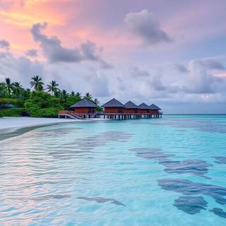 Maldives mobile wallpaper