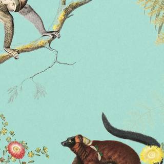 Monkey mobile wallpaper