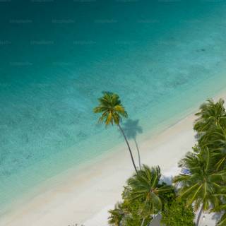 Maldives mobile wallpaper