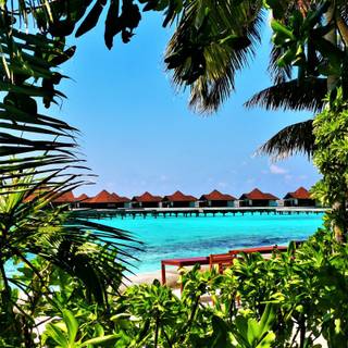 Maldives mobile wallpaper
