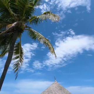 Maldives mobile wallpaper