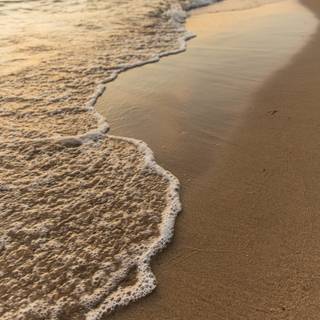 Brown beige wallpaper