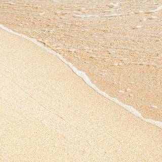 Brown beige wallpaper