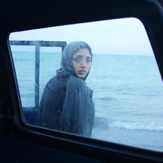 About Elly wallpaper