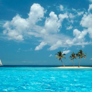 Windows XP default wallpaper