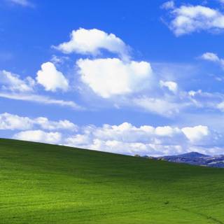 Microsoft iPhone wallpaper