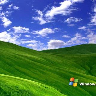 Windows XP default wallpaper