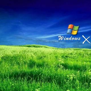Windows XP default wallpaper