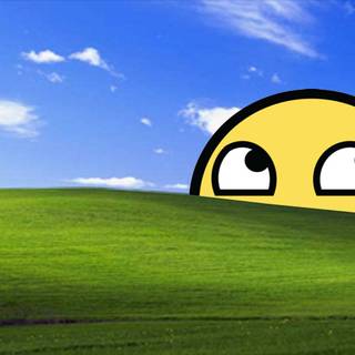 Windows XP default wallpaper