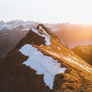 Gold mountain wallpaper