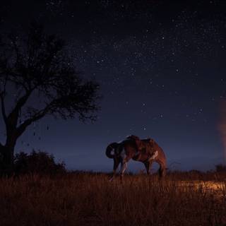 RDR2 4k computer wallpaper