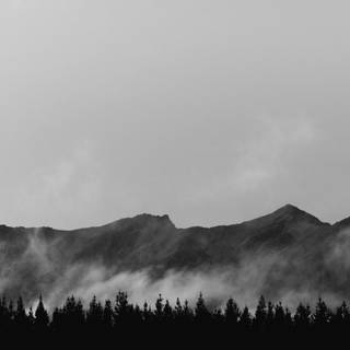 Black hill wallpaper