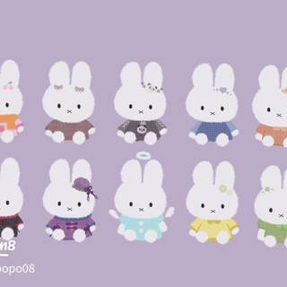 Miffy desktop pink wallpaper
