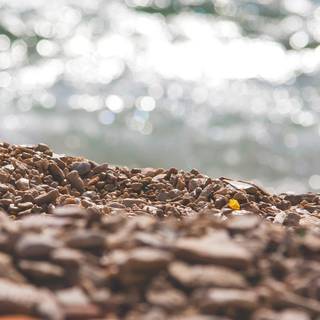 Summer iPhone wallpaper