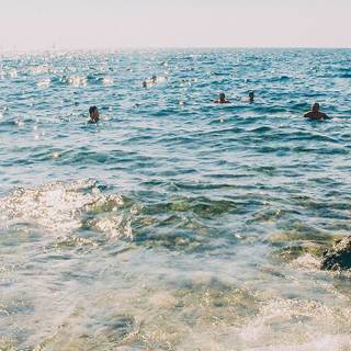 Summer iPhone wallpaper