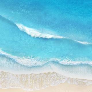 Summer iPhone wallpaper