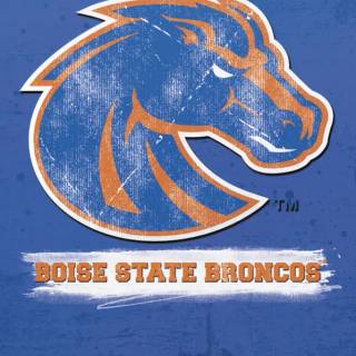 Boise wallpaper